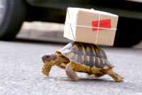 Deliveries in COVID-19