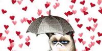 Riding Solo this Valentine’s Day?
