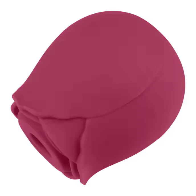 Air Pressure Vibrator Blush & Bloom - PlayBlue