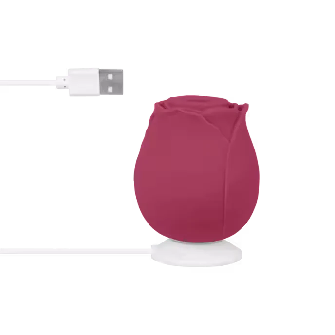 Air Pressure Vibrator Blush & Bloom - PlayBlue
