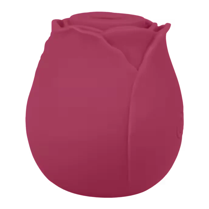 Air Pressure Vibrator Blush & Bloom - PlayBlue