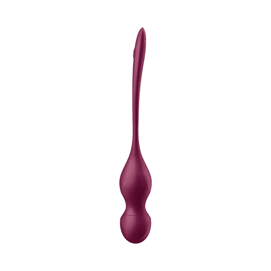 Satisfyer Love Birds Vary - Vibrating Kegel Balls Kit - PlayBlue