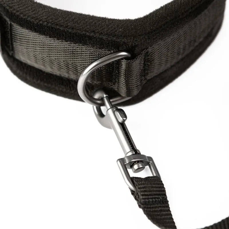 Sei Mio - Take the Lead - Padded Neck Collar & Leash - PlayBlue