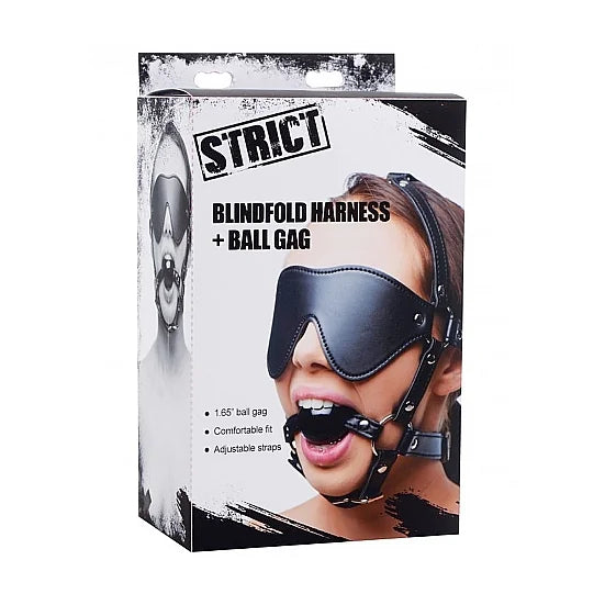 Head Harness with Eye Mask & Ball Gag - PlayBlue