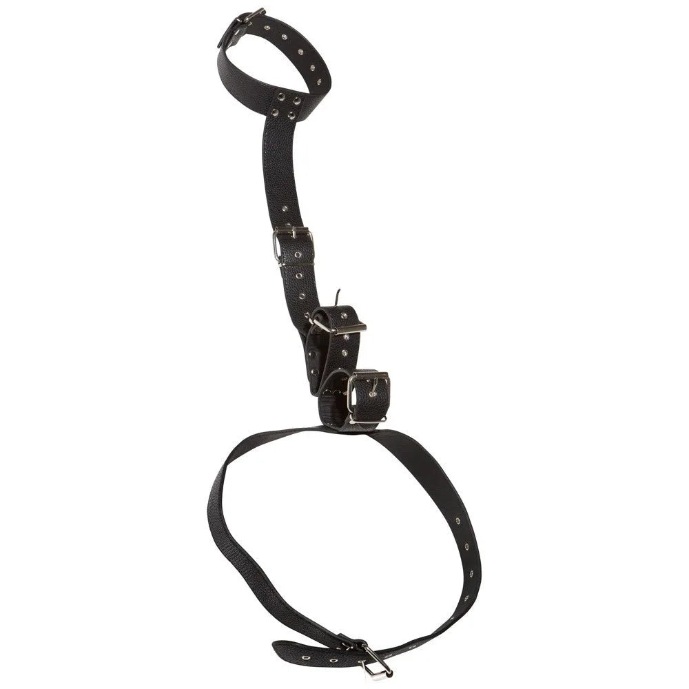 Neck And Hand Restraints