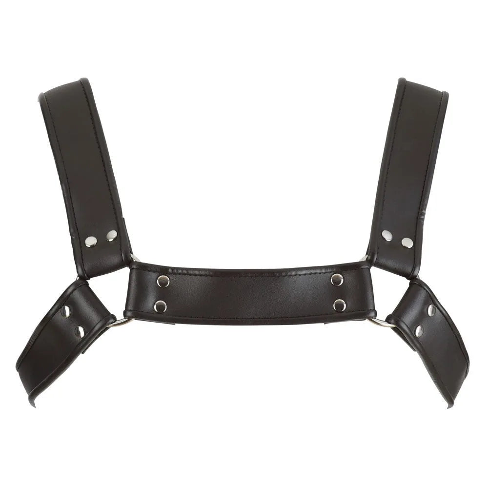 Zado - Premium Leather Chest Harness - PlayBlue