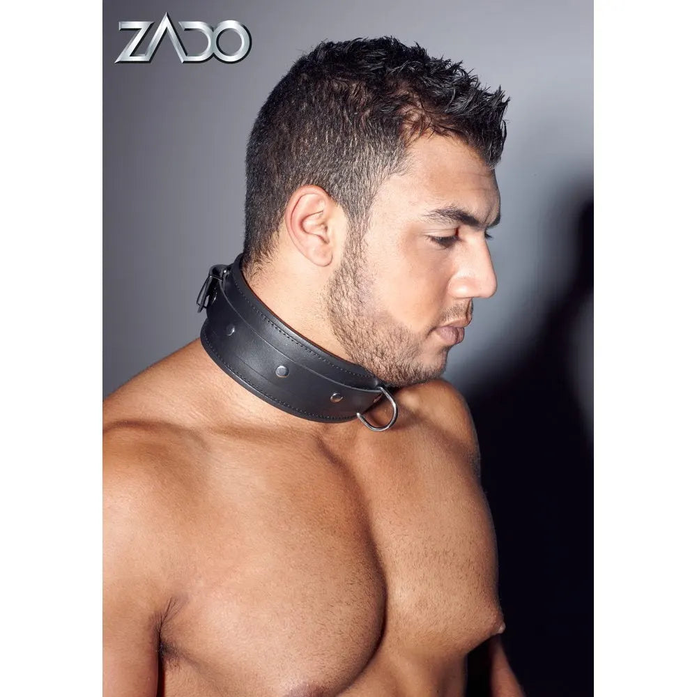 Zado - Padded Edged Unisex Collar - Large/XL - PlayBlue