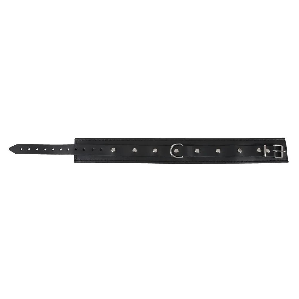 Zado - Padded Edged Unisex Collar - Large/XL - PlayBlue