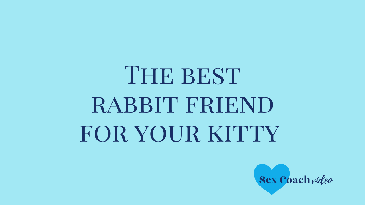 The best rabbit friend for your kitty - Review of the Vive Halo