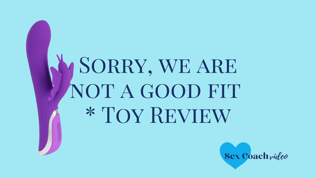Sorry, we are not a good fit - Toy Review