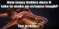 What's the deal with tentacle porn?