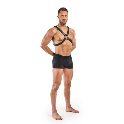 Lionel Bondage Harness - Black - PlayBlue