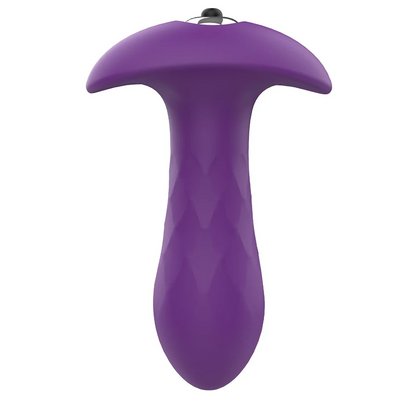 Pleasure Box - Beginners Anal Play Kit