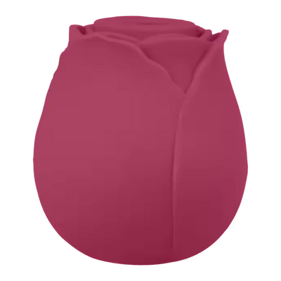 Air Pressure Vibrator Blush & Bloom - PlayBlue