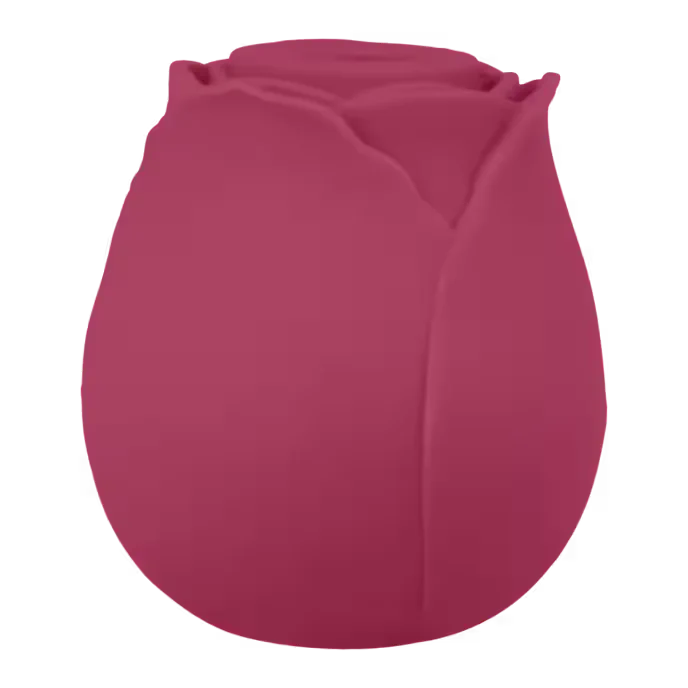 Air Pressure Vibrator Blush & Bloom - PlayBlue