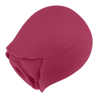 Air Pressure Vibrator Blush & Bloom - PlayBlue