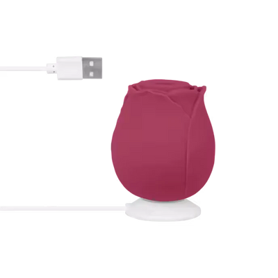 Air Pressure Vibrator Blush & Bloom - PlayBlue