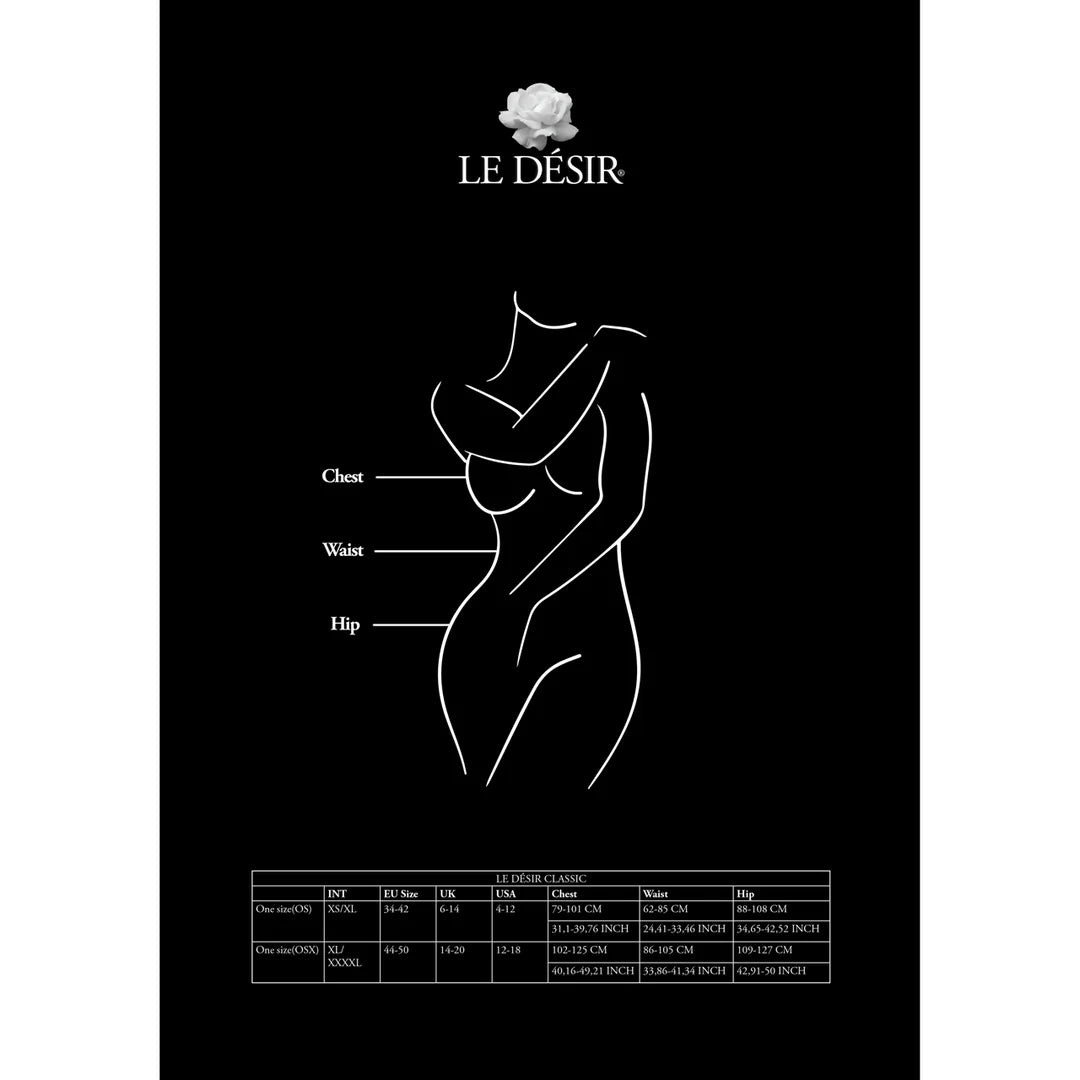 Le Desir - Lace Suspender Bodystocking - PlayBlue