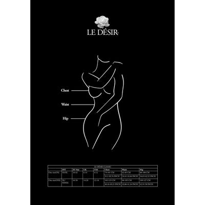 Le Desir - Lace Suspender Bodystocking - PlayBlue