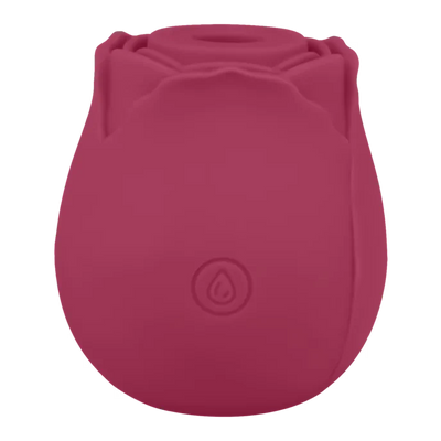 Air Pressure Vibrator Blush & Bloom - PlayBlue
