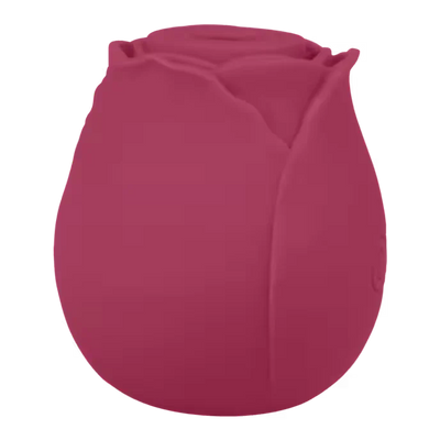 Air Pressure Vibrator Blush & Bloom - PlayBlue