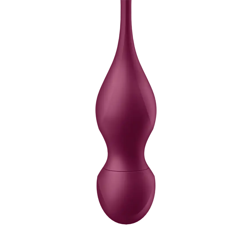 Satisfyer Love Birds Vary - Vibrating Kegel Balls Kit - PlayBlue