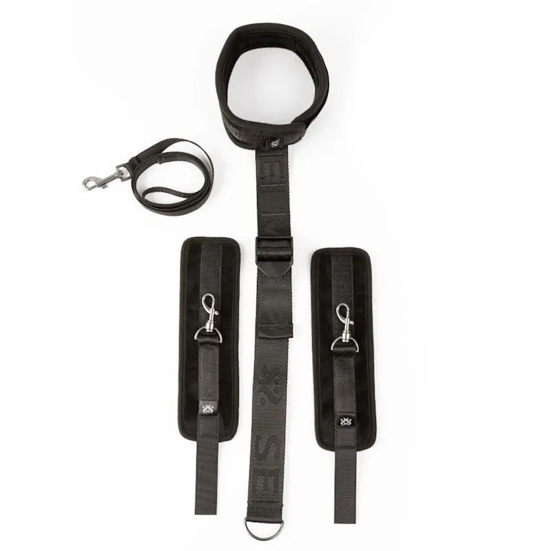 Sei Mio - Firmly in Check - Neck & Wrist Restraint Kit - PlayBlue