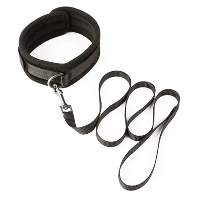 Sei Mio - Take the Lead - Padded Neck Collar & Leash - PlayBlue