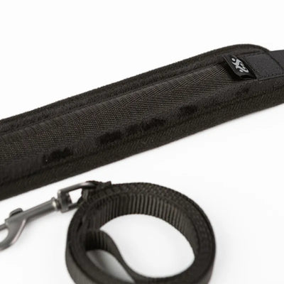 Sei Mio - Take the Lead - Padded Neck Collar & Leash - PlayBlue