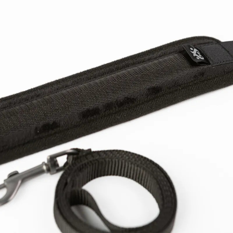 Sei Mio - Take the Lead - Padded Neck Collar & Leash - PlayBlue