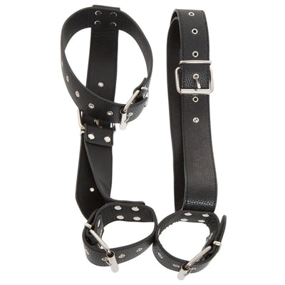 Neck And Hand Restraints - PlayBlue