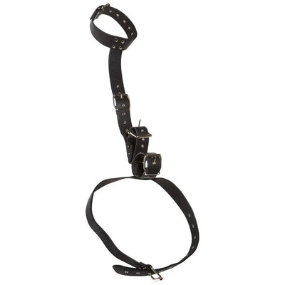 Neck And Hand Restraints - PlayBlue