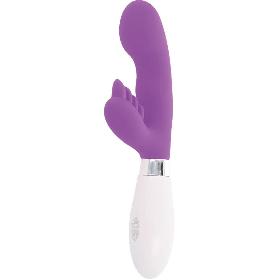 Glossy Rabbit Elvis Purple - PlayBlue