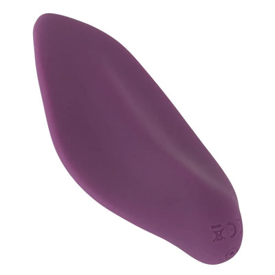 Sweet Smile Remote Controlled Panty Vibrator - PlayBlue