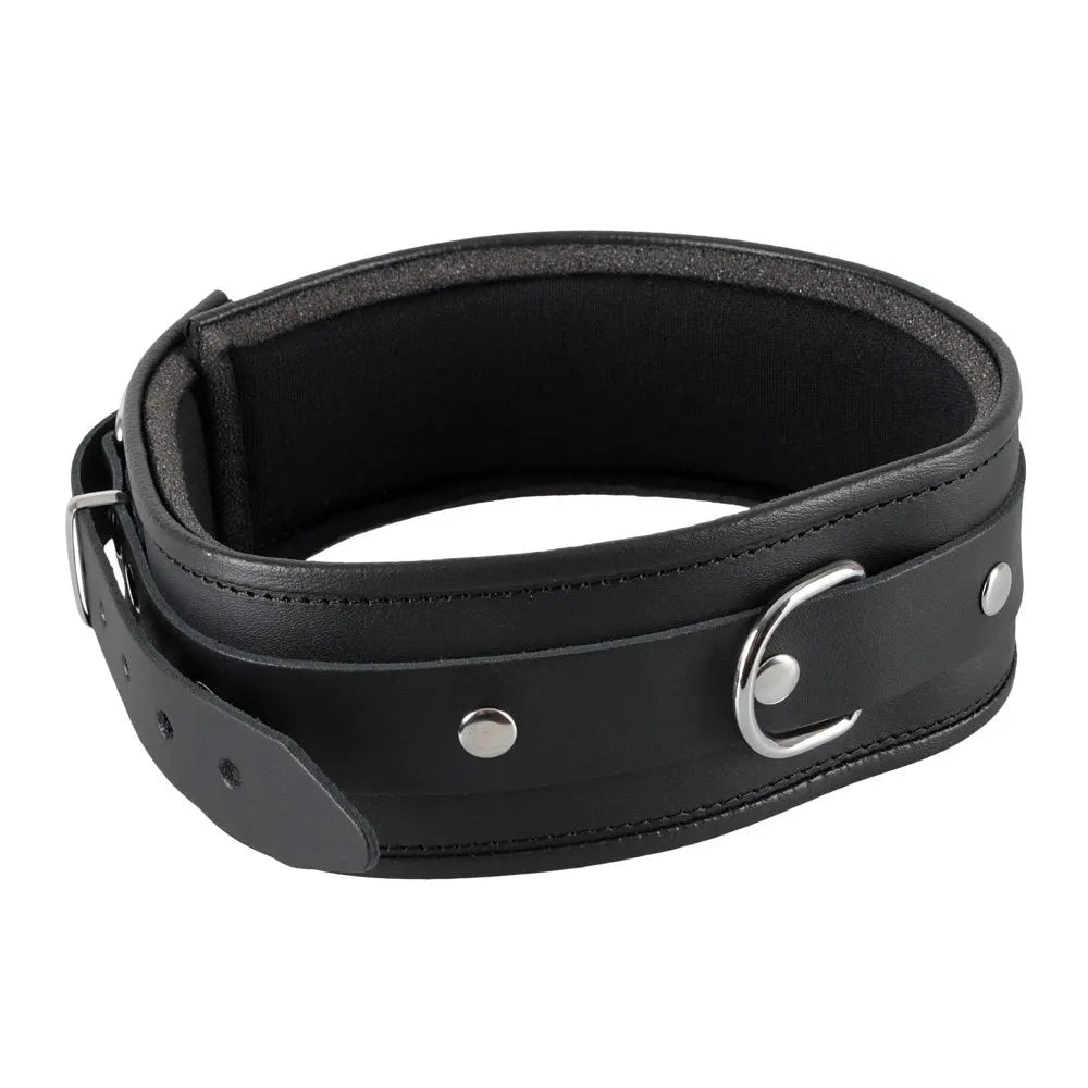 Zado - Padded Edged Unisex Collar - Large/XL - PlayBlue