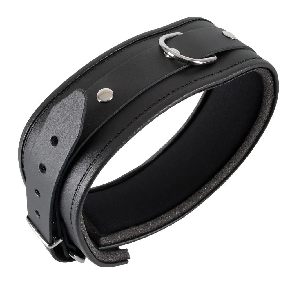 Zado - Padded Edged Unisex Collar - Large/XL - PlayBlue