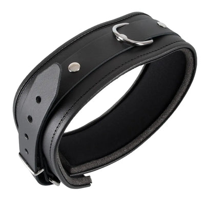 Zado - Padded Edged Unisex Collar - Large/XL - PlayBlue