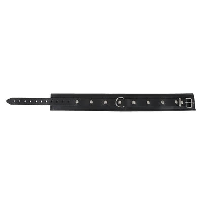 Zado - Padded Edged Unisex Collar - Large/XL - PlayBlue