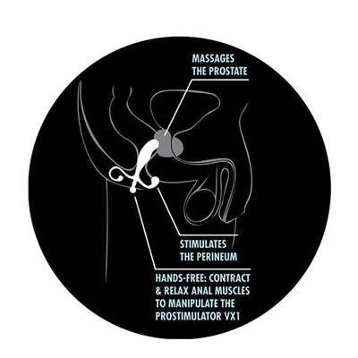 Anal Adventures Prostate Stimulator - PlayBlue