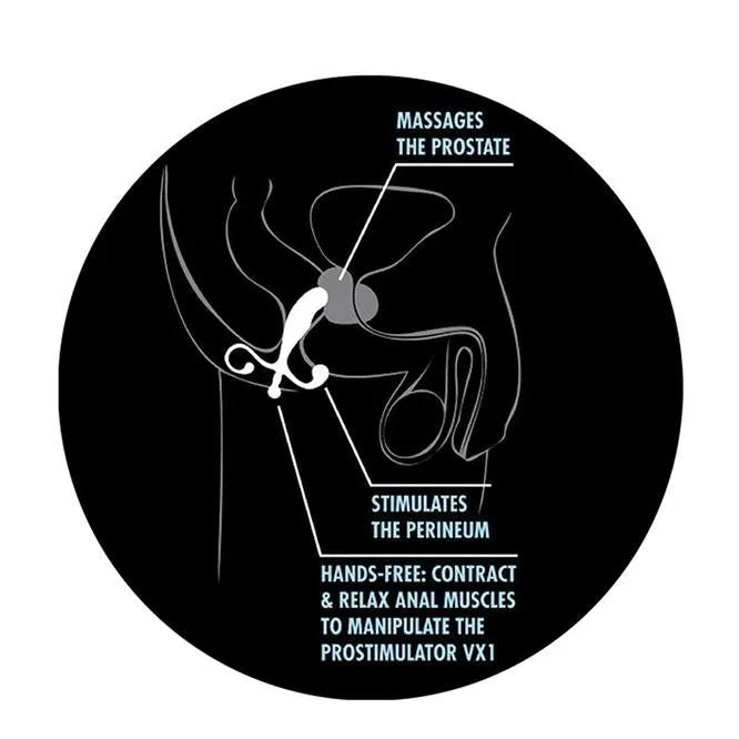 Anal Adventures Prostate Stimulator - PlayBlue